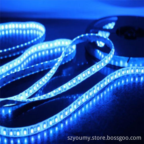 Water-resistant 150-piece SMD5050 Blue LED Strip Lights, Factory Price, MOQ of 500 Meters